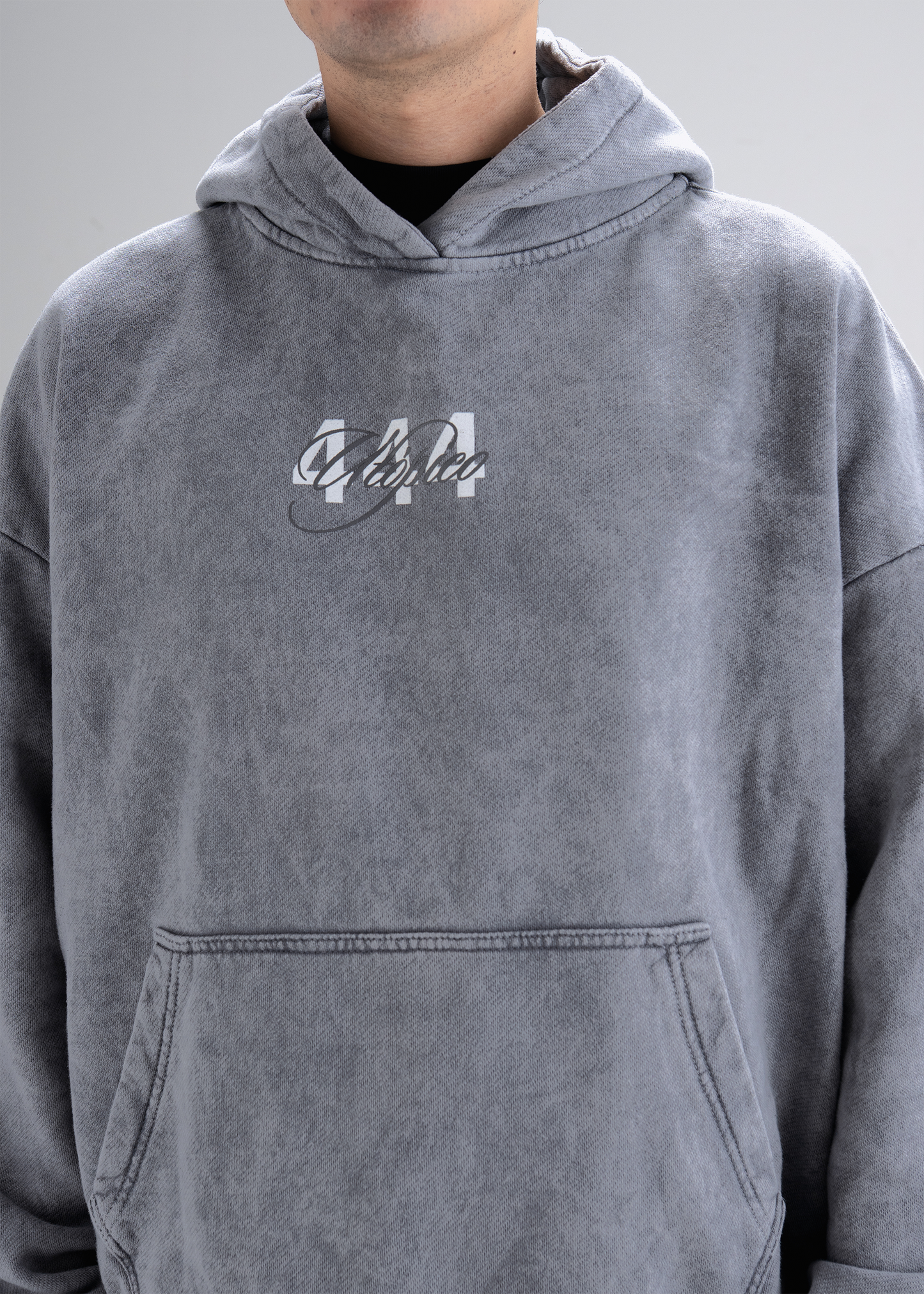 Hoodie Gris Wash - 444