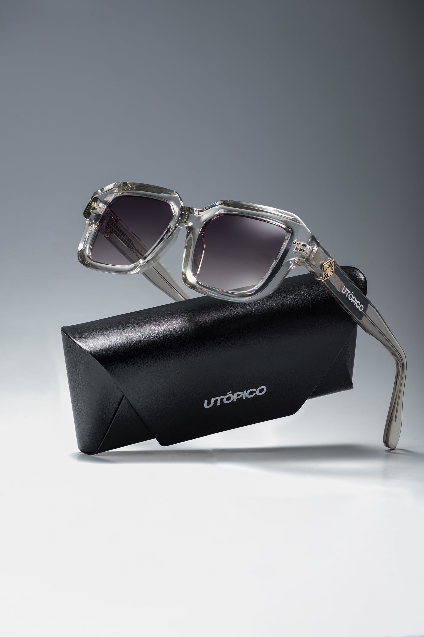 Gafas Translucidas Elegant