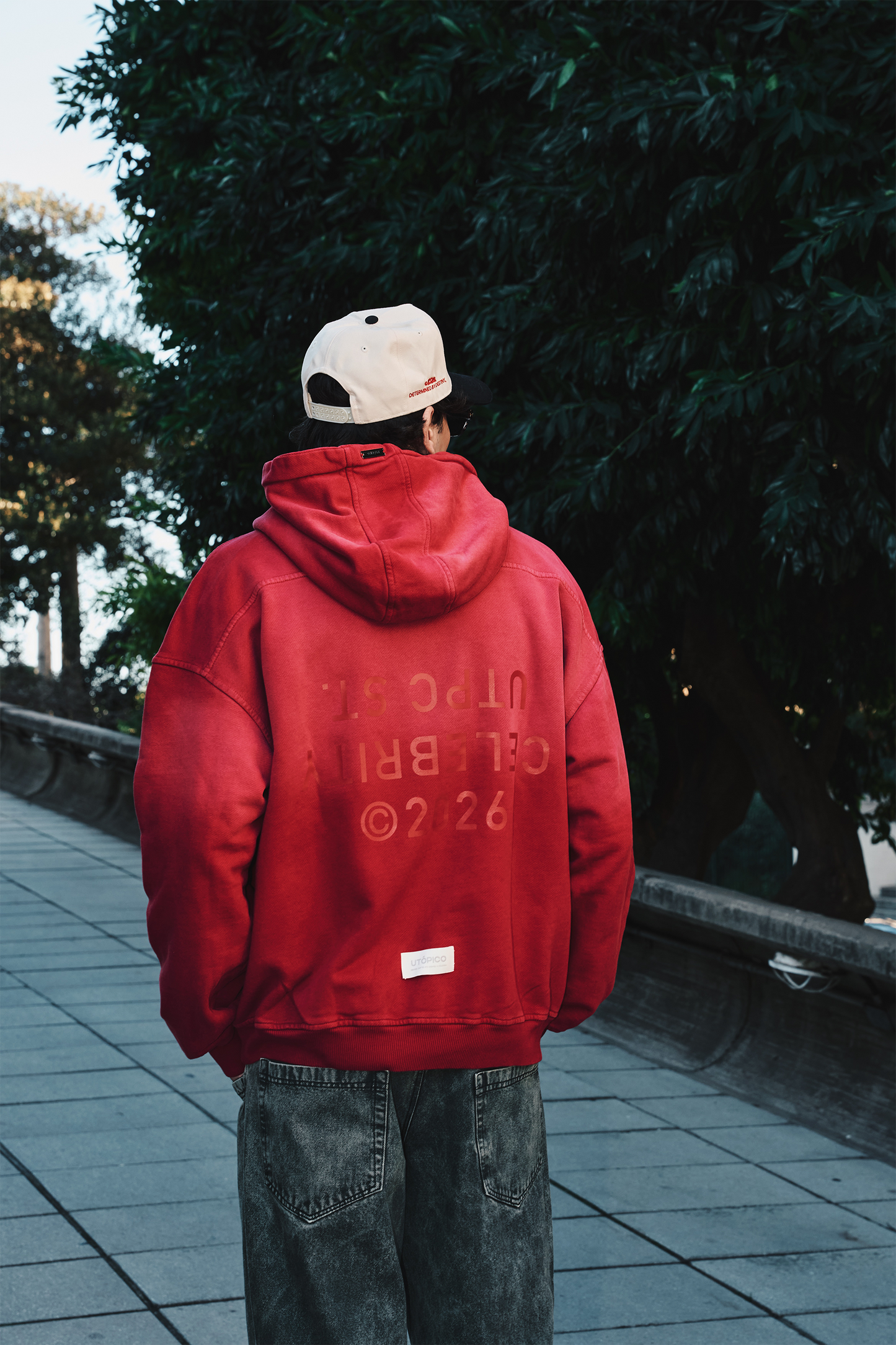 Hoodie Celebrity Archives — Red Wash